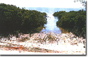 Image:  Marine and Coastal Parks Sites of Significance