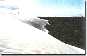Image:  Marine and Coastal Parks Sites of Significance