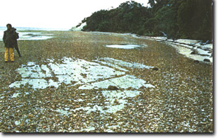 Image:  Marine and Coastal Parks Sites of Significance