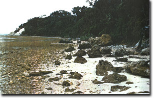 Image:  Marine and Coastal Parks Sites of Significance