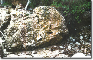 Image:  Marine and Coastal Parks Sites of Significance