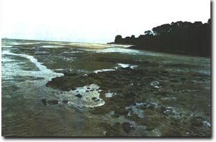 Image:  Marine and Coastal Parks Sites of Significance