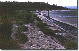 Image:  Marine and Coastal Parks Sites of Significance