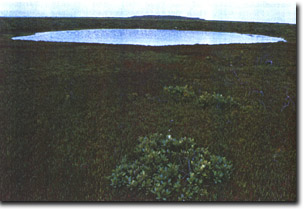 Image:  Marine and Coastal Parks Sites of Significance