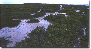 Image:  Marine and Coastal Parks Sites of Significance