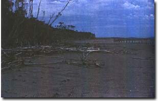 Image:  Marine and Coastal Parks Sites of Significance