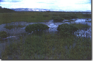 Image:  Marine and Coastal Parks Sites of Significance