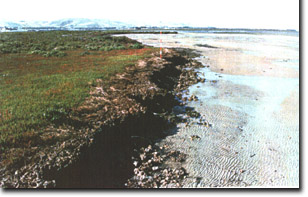 Image:  Marine and Coastal Parks Sites of Significance