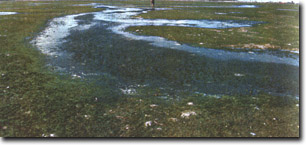 Image:  Marine and Coastal Parks Sites of Significance
