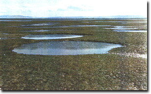 Image:  Marine and Coastal Parks Sites of Significance