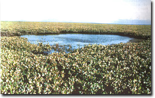 Image:  Marine and Coastal Parks Sites of Significance