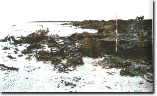 Image:  Marine and Coastal Parks Sites of Significance