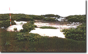 Image:  Marine and Coastal Parks Sites of Significance