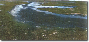 Image:  Marine and Coastal Parks Sites of Significance