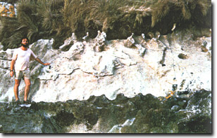 Image:  Marine and Coastal Parks Sites of Significance