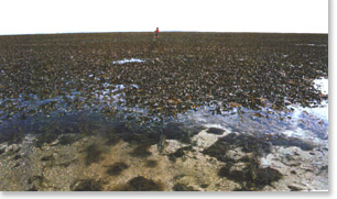 Image:  Marine and Coastal Parks Sites of Significance