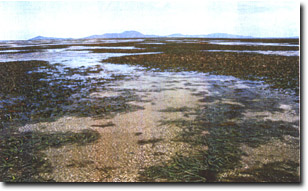 Image:  Marine and Coastal Parks Sites of Significance
