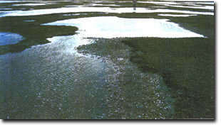 Image:  Marine and Coastal Parks Sites of Significance