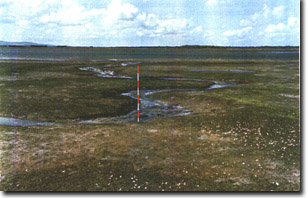Image:  Marine and Coastal Parks Sites of Significance