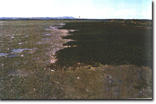 Image:  Marine and Coastal Parks Sites of Significance