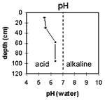 GRAPH: Soil Site G32 pH