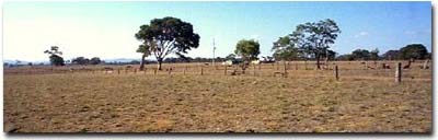 Photo: Site G78 Landscape