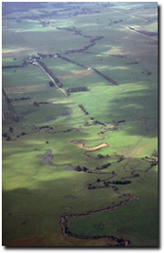 Photo: Overlooking the Tarra River near Yarram - an example of a Riverine mapping unit.