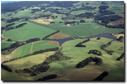 Photo: Land use near Thorpdale