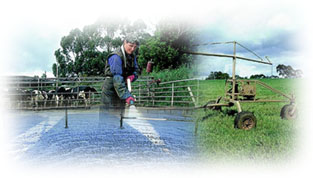 Photo: Collection of Farming Photographs