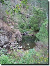 Photo: Upper Tarra River