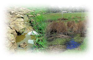 Photo: Wet areas on Farms
