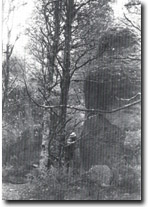 Image: West Gippsland Sites of Significance 
