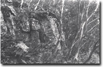 Image: West Gippsland Sites of Significance 