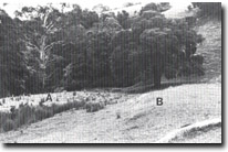 Image: West Gippsland Sites of Significance 
