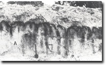 Image: West Gippsland Sites of Significance 