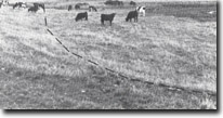 Image: West Gippsland Sites of Significance 