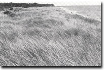 Image: West Gippsland Sites of Significance 