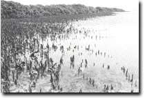 Image: West Gippsland Sites of Significance 