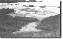 Image: West Gippsland Sites of Significance 