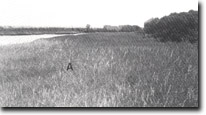 Image: West Gippsland Sites of Significance 