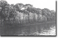 Image: West Gippsland Sites of Significance 