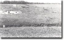 Image: West Gippsland Sites of Significance 
