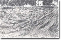 Image: West Gippsland Sites of Significance 