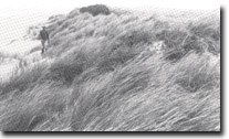 Image: West Gippsland Sites of Significance 