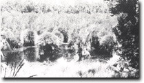 Image: West Gippsland Sites of Significance 