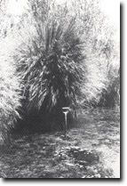 Image: West Gippsland Sites of Significance 