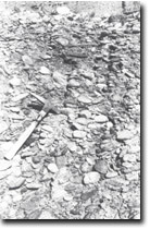 Image: West Gippsland Sites of Significance 