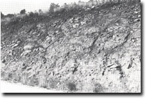 Image: West Gippsland Sites of Significance 