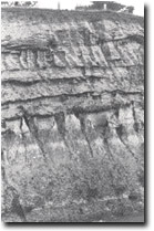 Image: West Gippsland Sites of Significance 