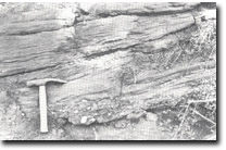 Image: West Gippsland Sites of Significance 
